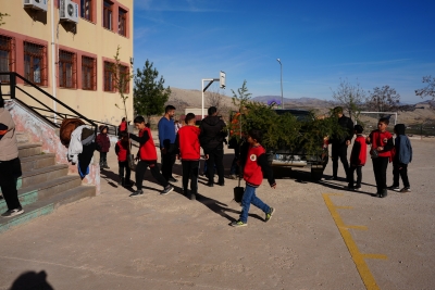 Ergani’de 2 Bin Çam Fidanı Toprakla Buluşuyor