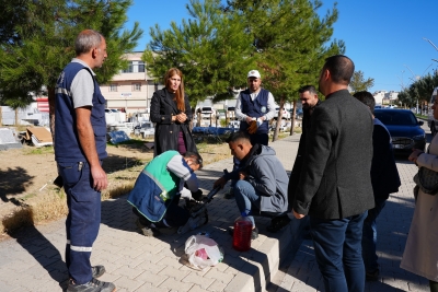 Ergani’de Ağaç Budama Çalışması