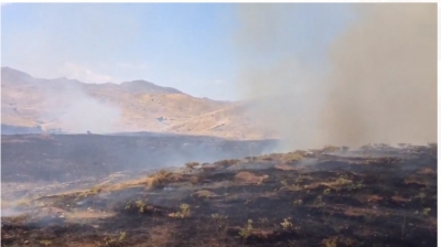 Ergani'de kırsal alandaki yangın
