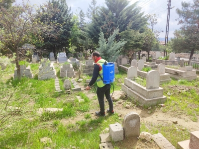 Ergani’de mezarlıklar ilaçlandı