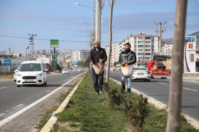 Ergani’de yeşil alan çalışması