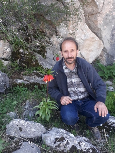 Güneş yüzünü gösterdi ters laleler çiçek açtı