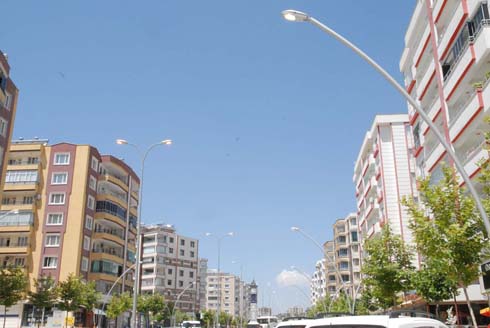 SOKAK LAMBALARI NEDEN GAœNDAœZLERi YANIYOR?