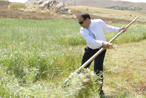 KAYMAKAM YONSUZ HER YERDE