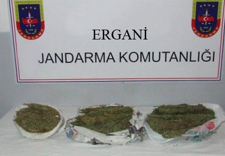 175 Kilo Esrar Ele Geçirildi