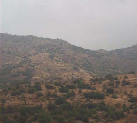 Köye Dönüş istiyorlar