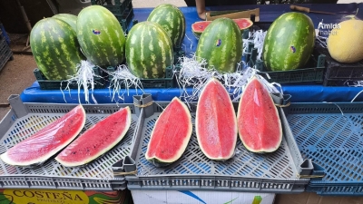 Kilosu 50 TL: Diyarbakır’da çeyrek karpuz dönemi
