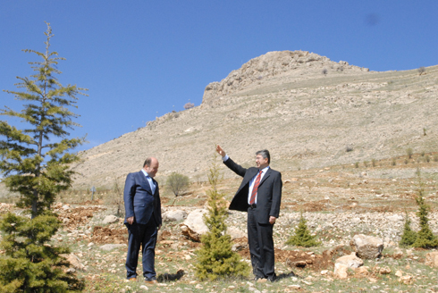 Makam Dağı Ağaçlandırılıyor