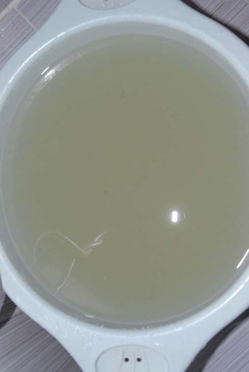 MUSLUKLARDAN A‡AMUR AKIYOR