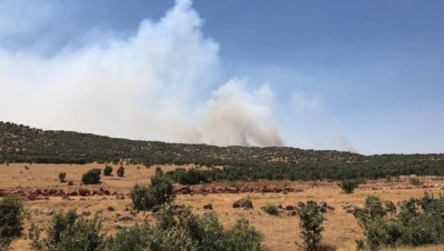 Nusaybin Bagok Dağı’nda çıkan yangın İdil kırsalına ilerliyor