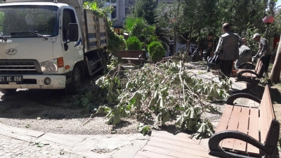 Rüzgar etkili oldu, ağaç dalları koptu