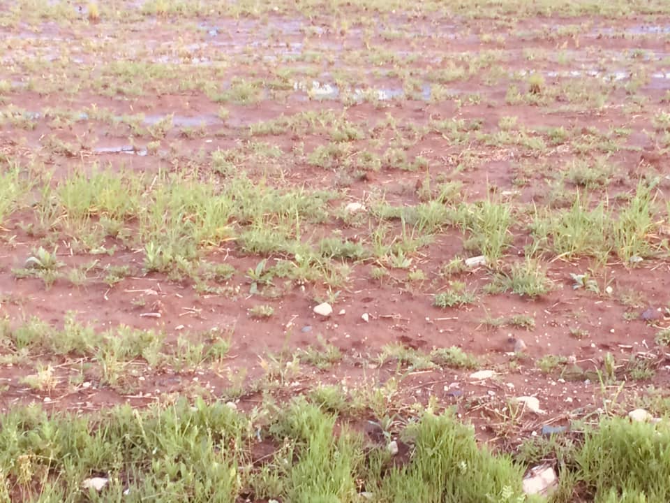 Tarlalar Suya Gömüldü