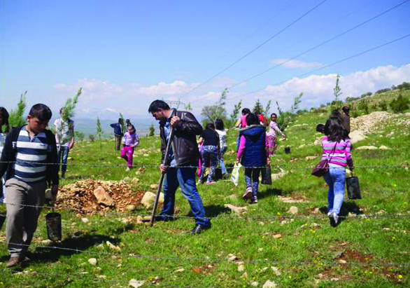 TEGV'DEN FiDAN DiKiMi