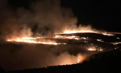 Tokat'ta dağlık alanda örtü yangını