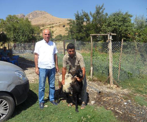 TOPLUM DESTEKLi POLiS FAALiYETLERi