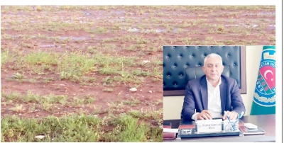 Yağışlar çiftçiyi sevindirdi