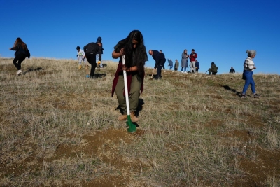Yeşil Bir Ergani İçin Palamut Ekimi Yapıldı 