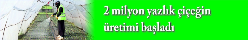 2 milyon yazlık çiçeğin üretimi başladı 